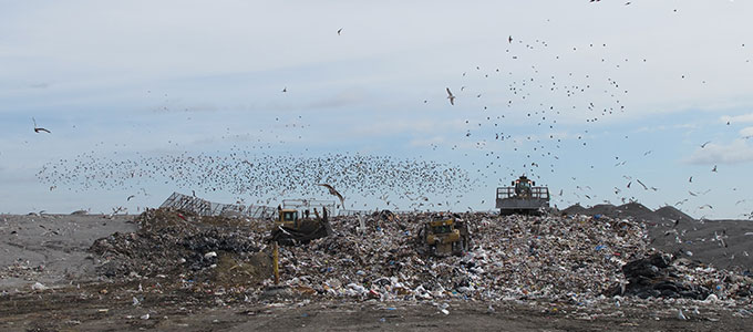 Landfill