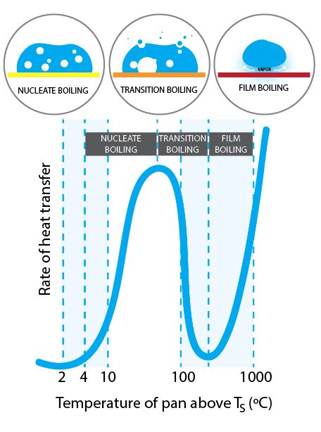 The Leidenfrost Effect